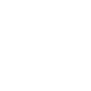 Battery Pack Icon