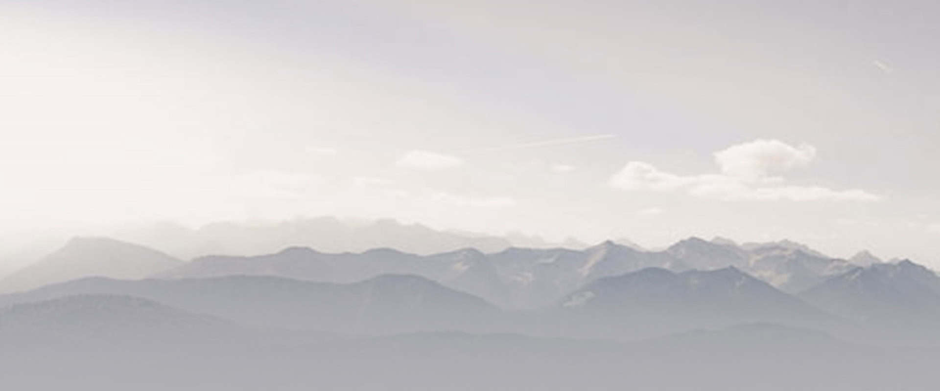 Newsletter Background