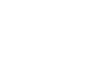 Premium Audio Icon